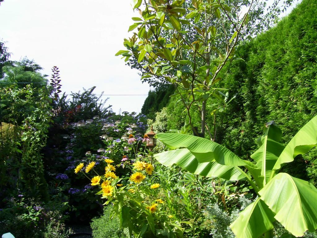 Hotel Garden House Courtenay Esterno foto
